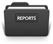 Report Examples